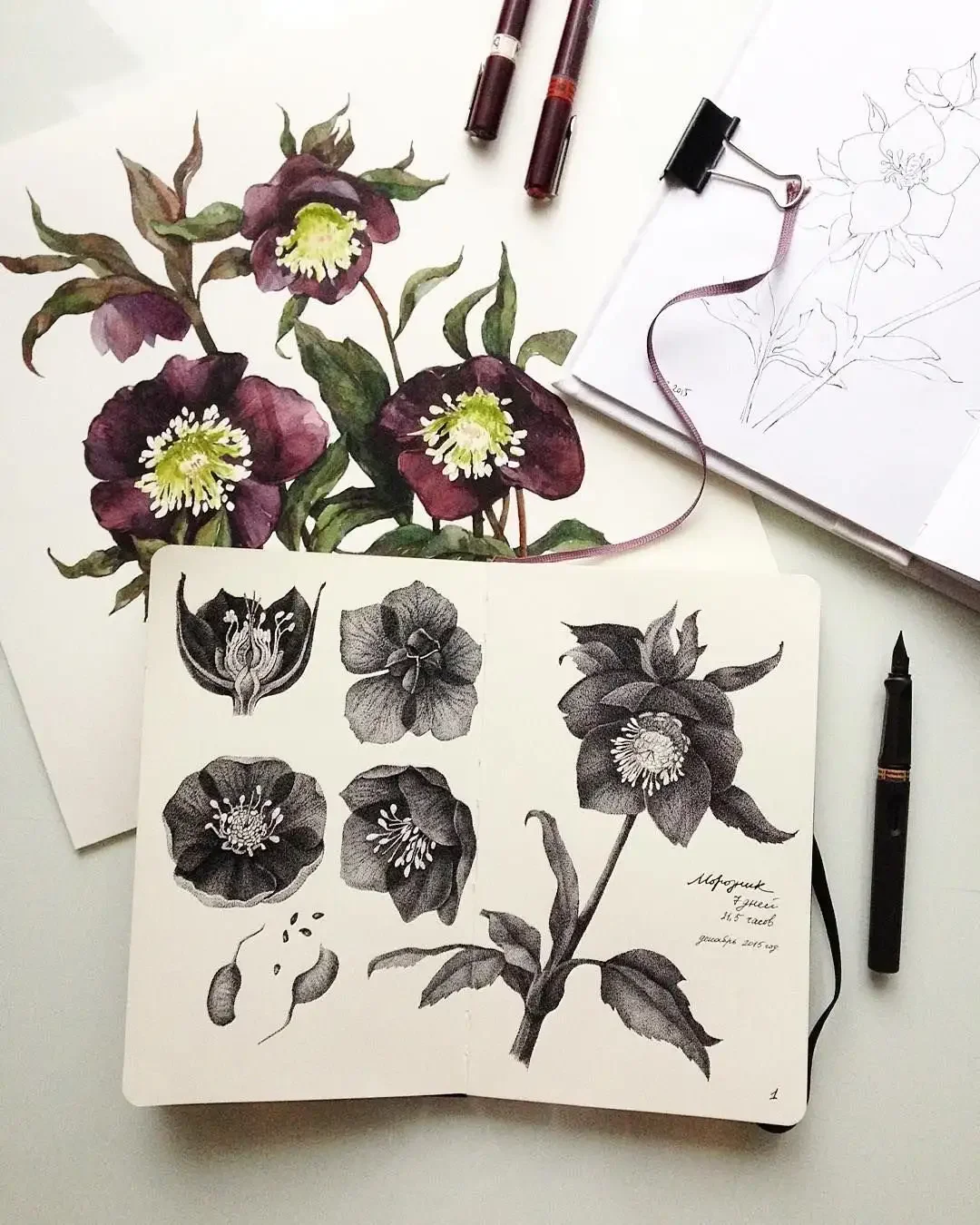 Пион набросок карандашом