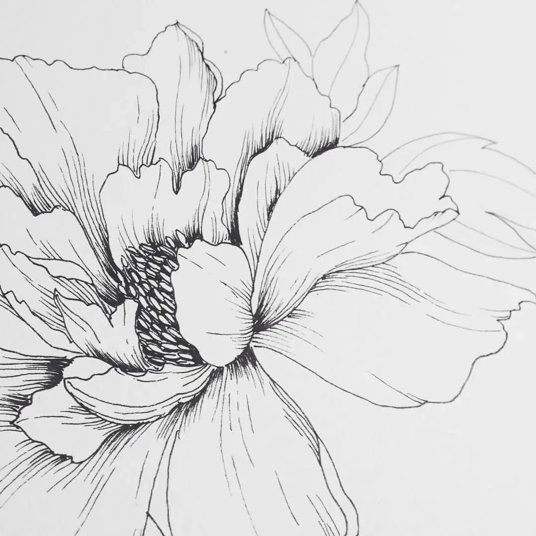 Графические растения