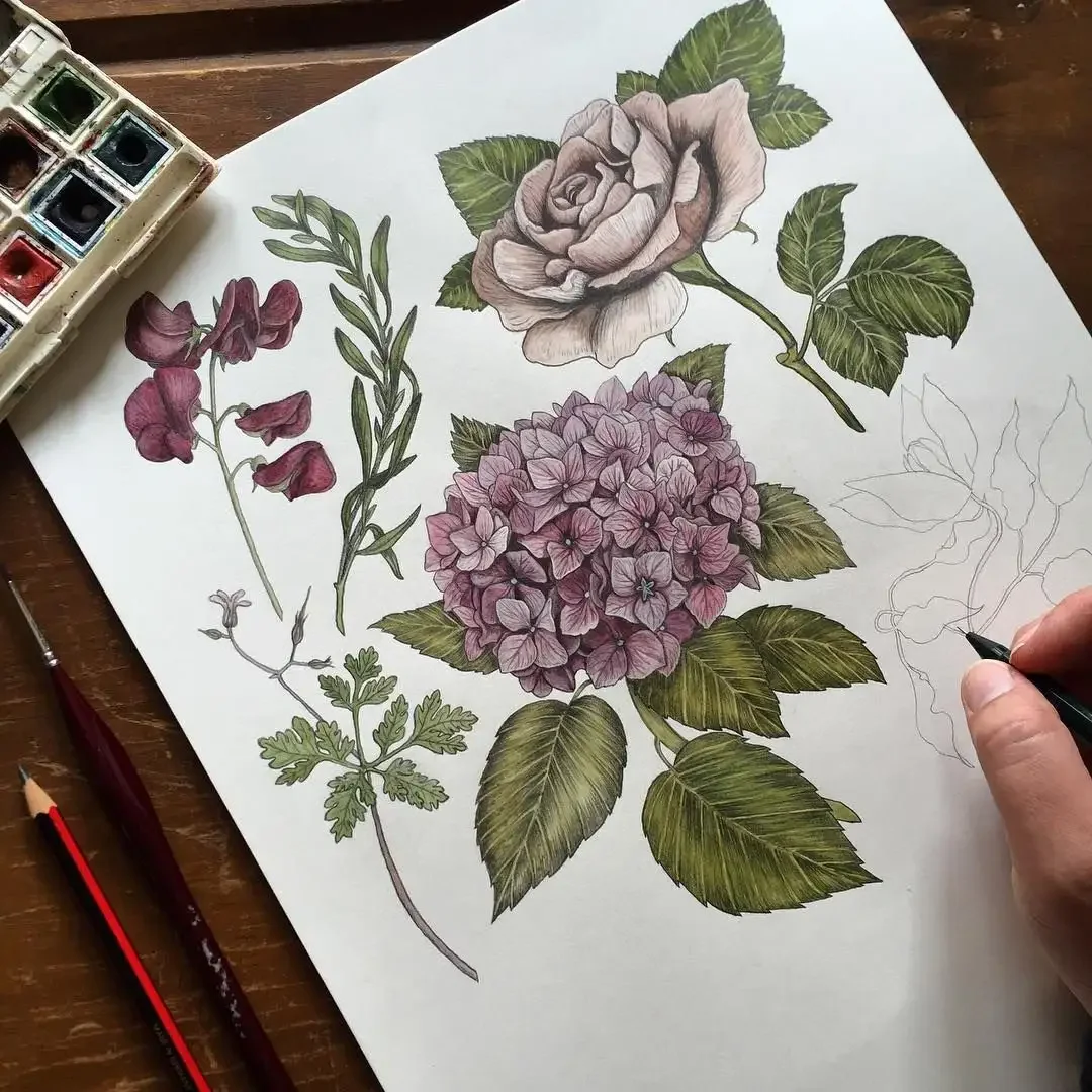 Луговые травы Графика