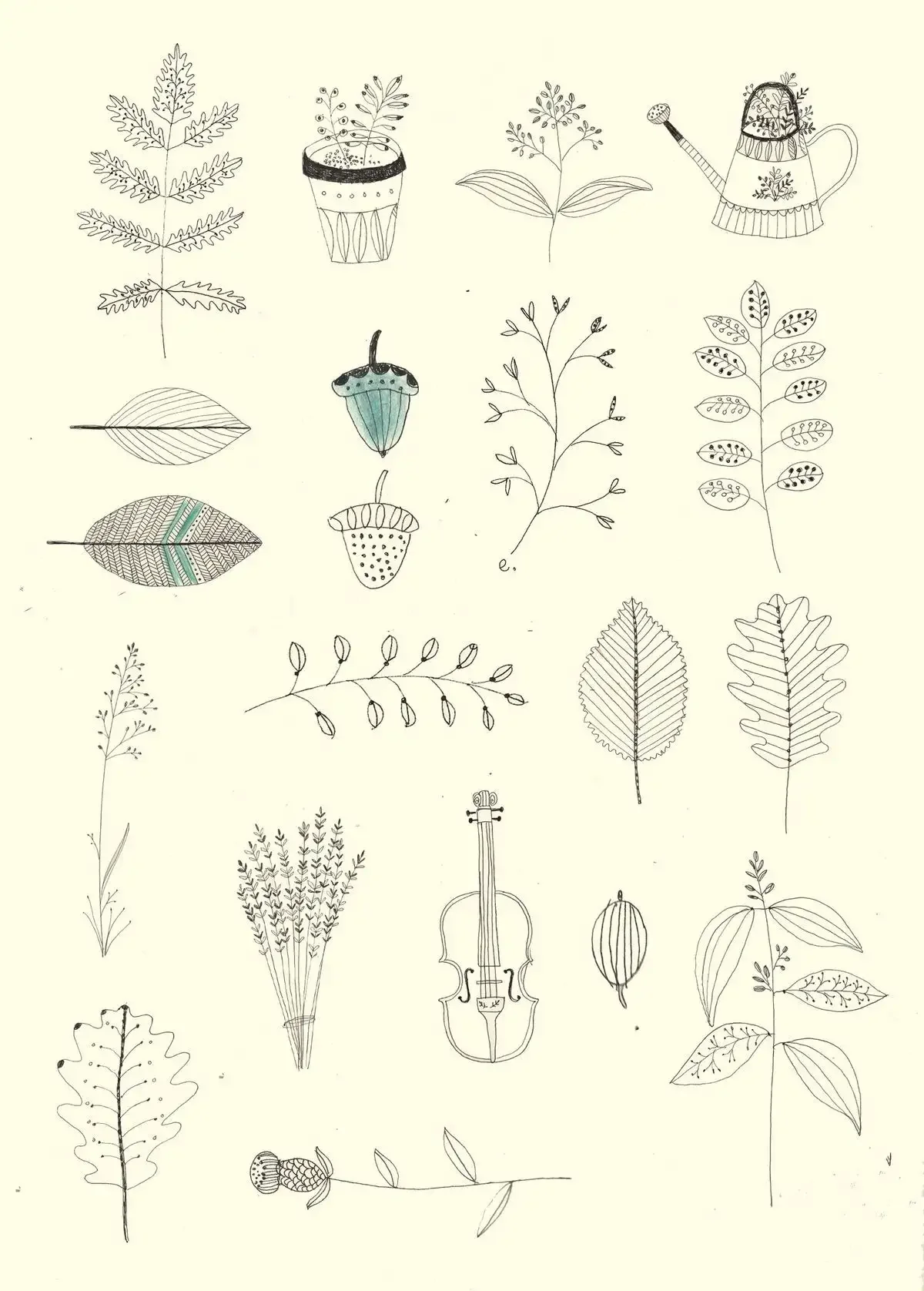 Цветы Минимализм