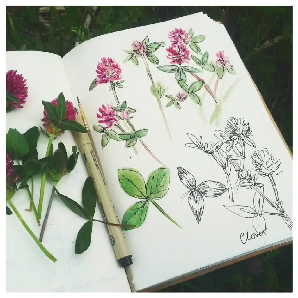 Растительный эскиз