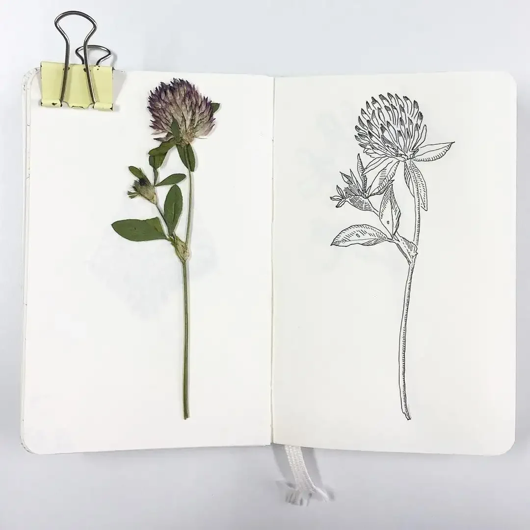 Ананас Мандала