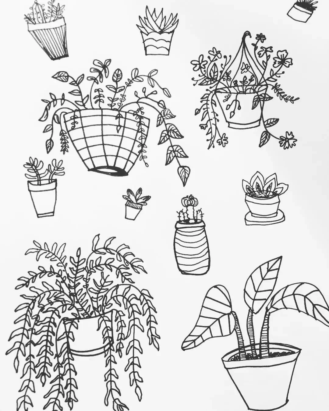 Артишок гравюра