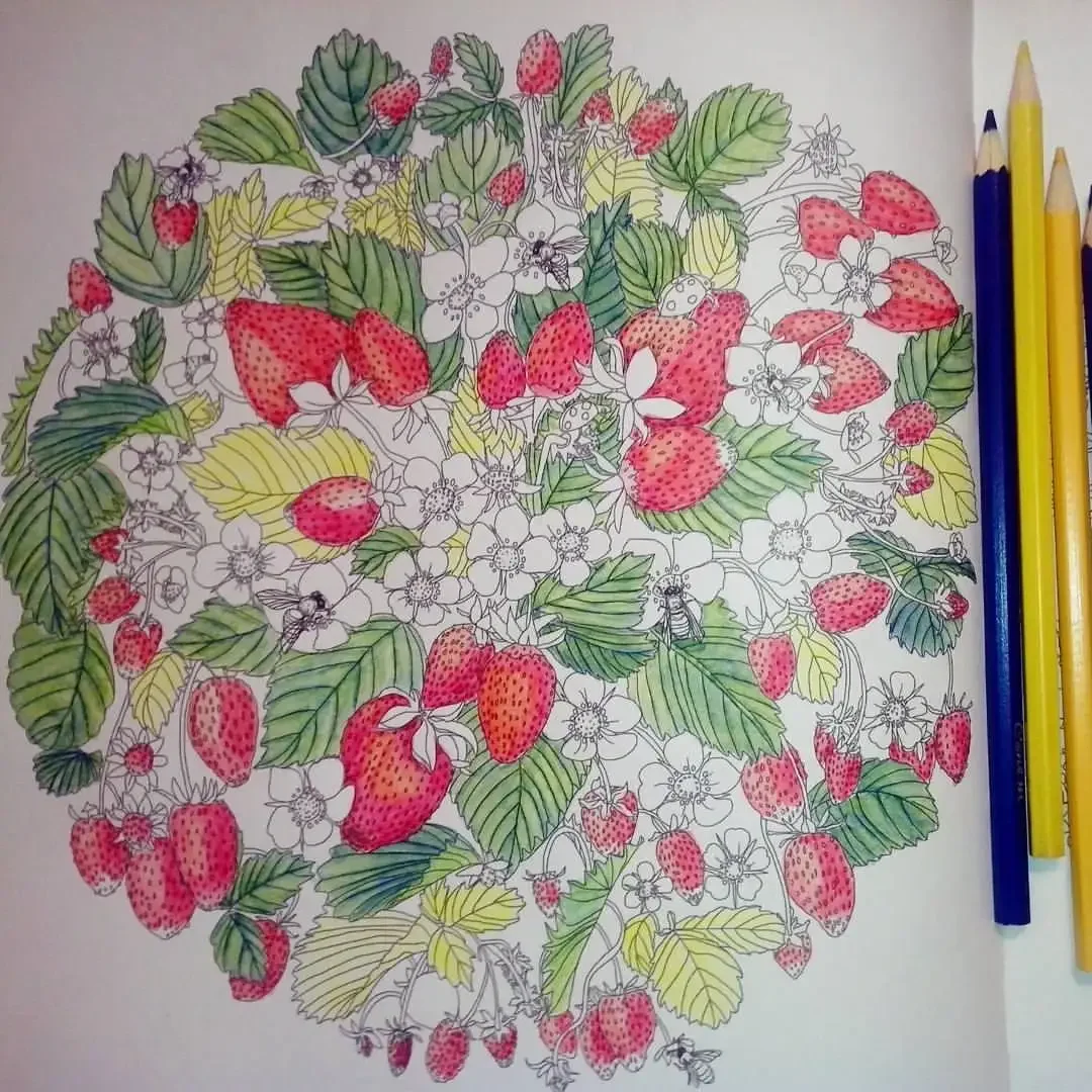 Полевые цветы Графика