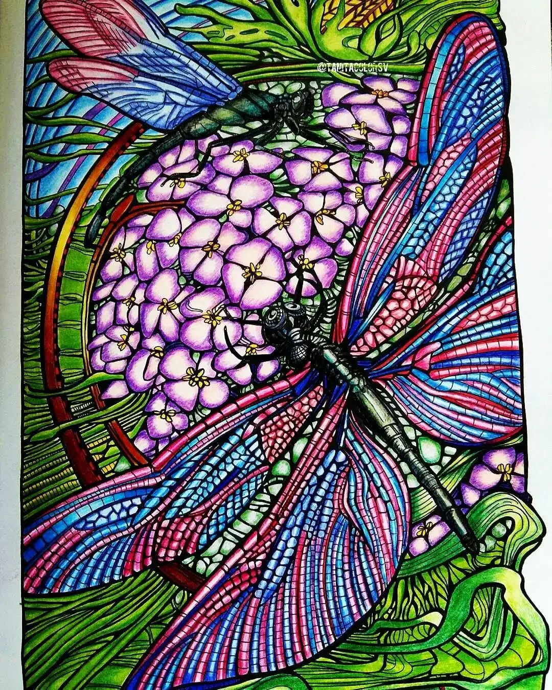 Старинные Ботанические иллюстрации цветов