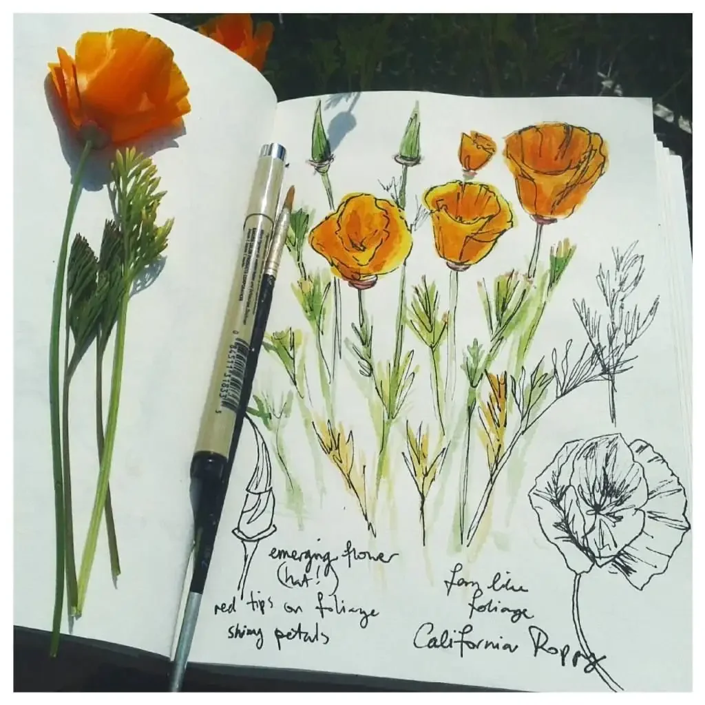 Ботанический дневник