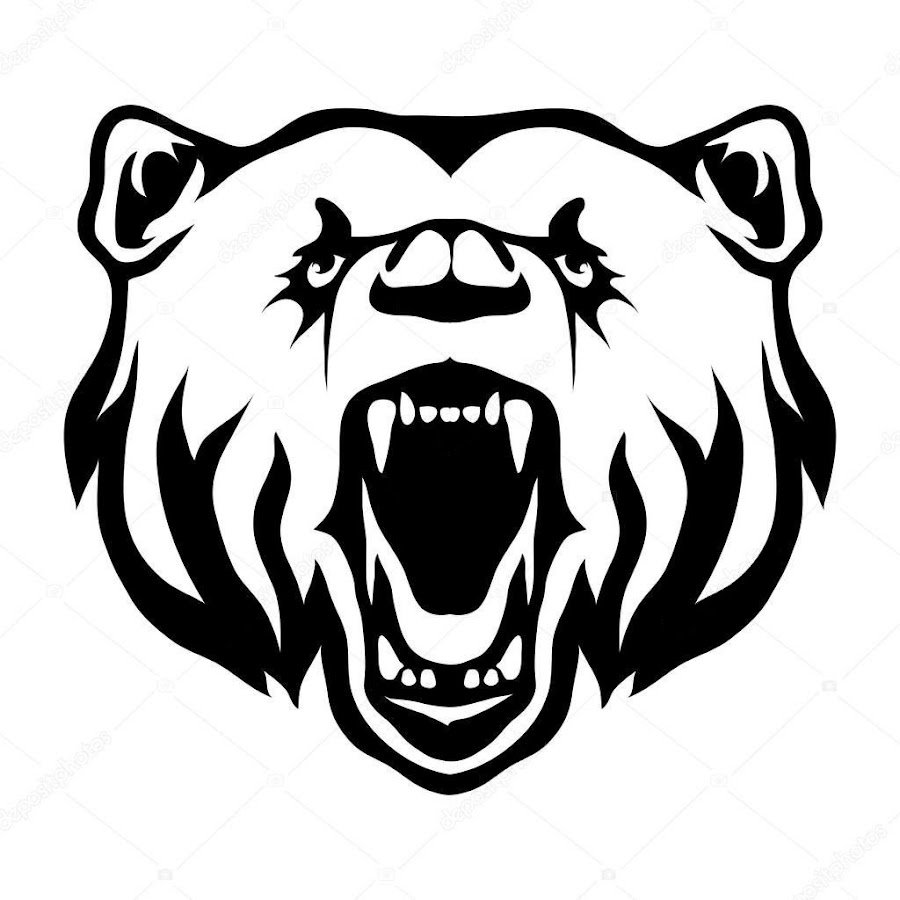 Морда медведя вектор