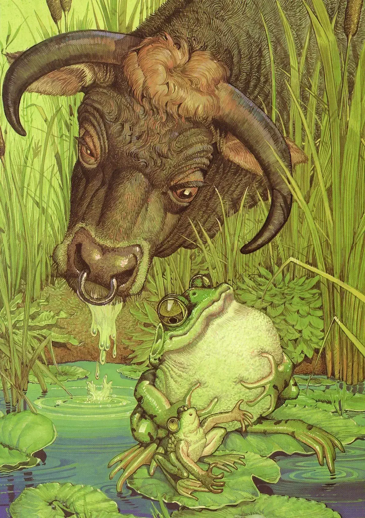 Иллюстратор don Daily