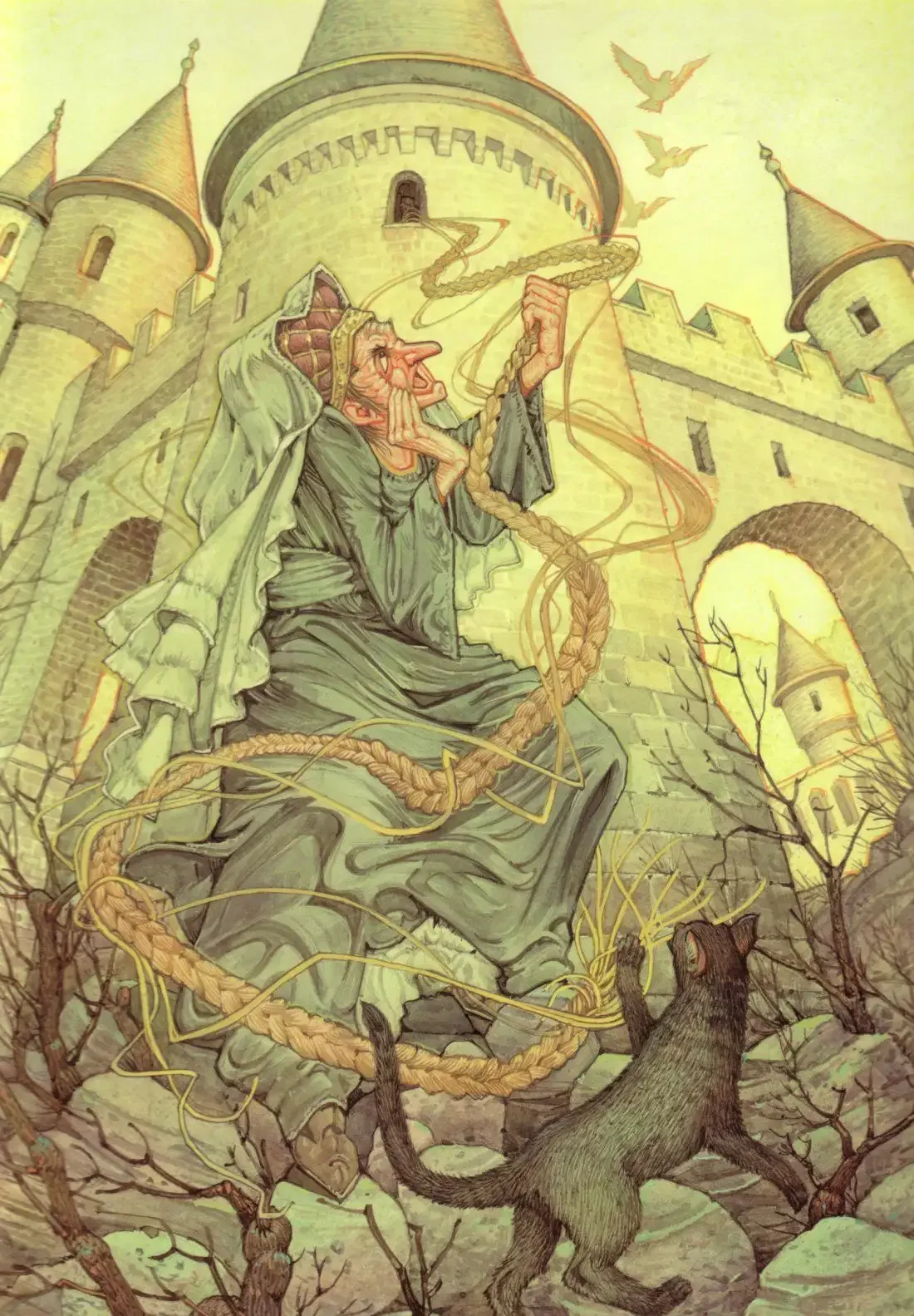 Дон Дейли иллюстрации