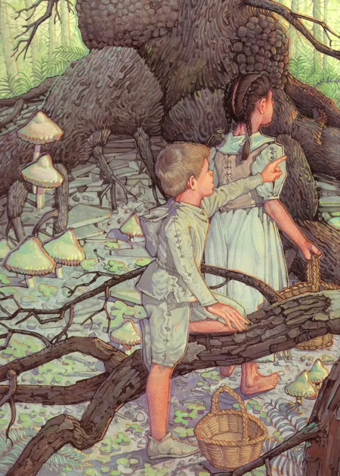 Томислав Томич иллюстратор