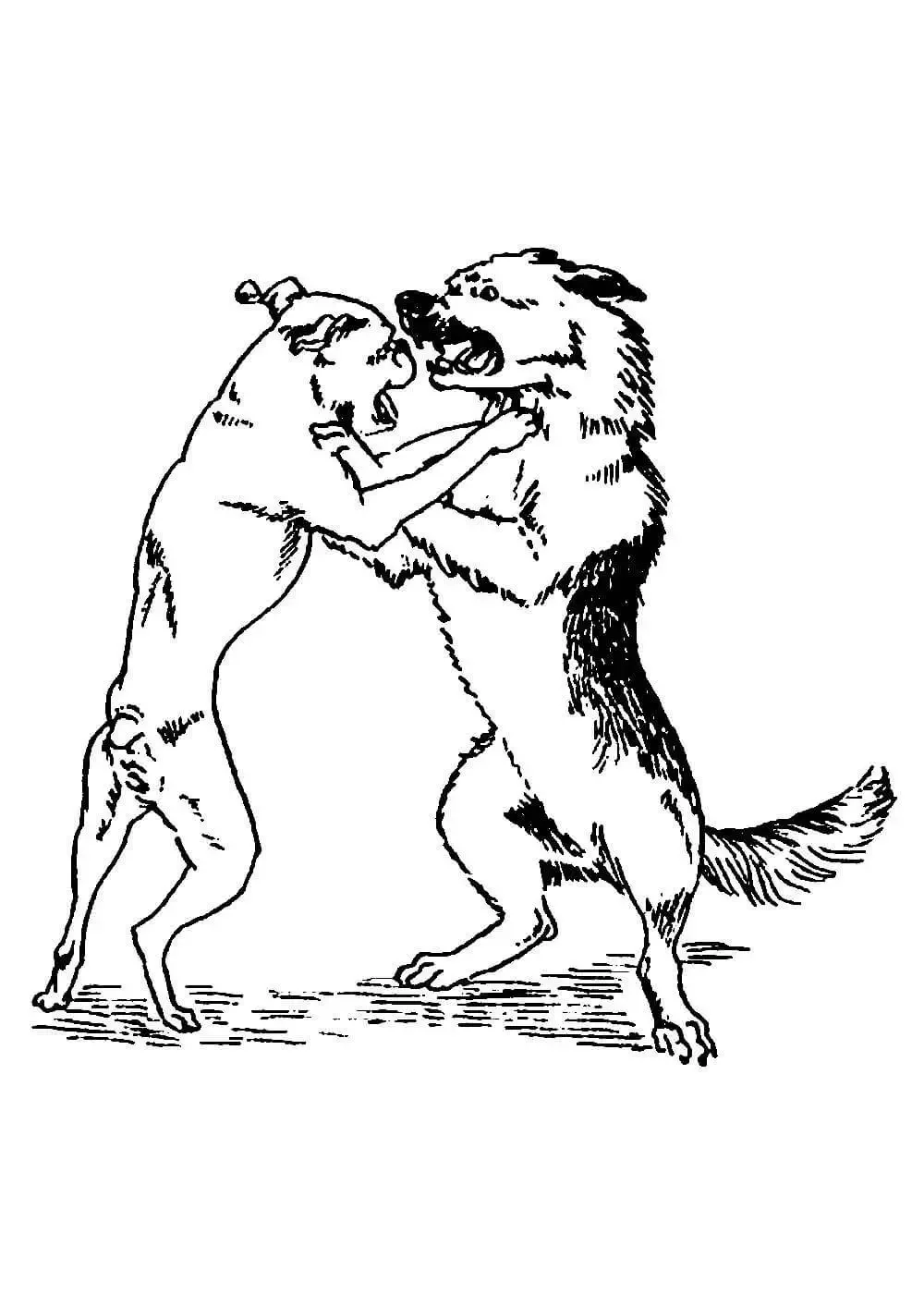 Волк на псарне рисунок карандашом