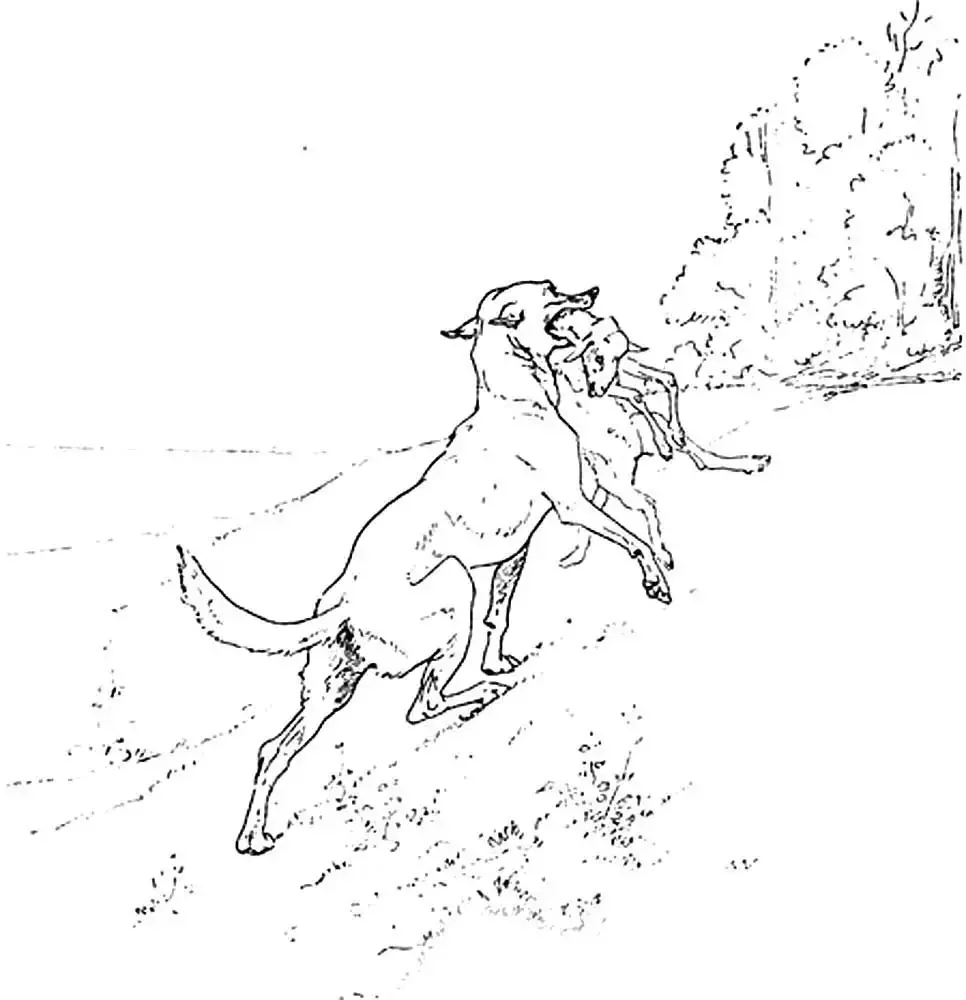 Раскраска басни Крылова волк и ягненок