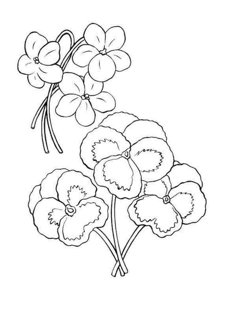 Сова на ветке шаблон для аппликации