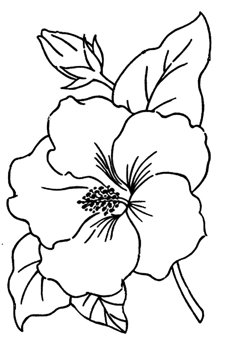 Трафарет птицы для аппликации