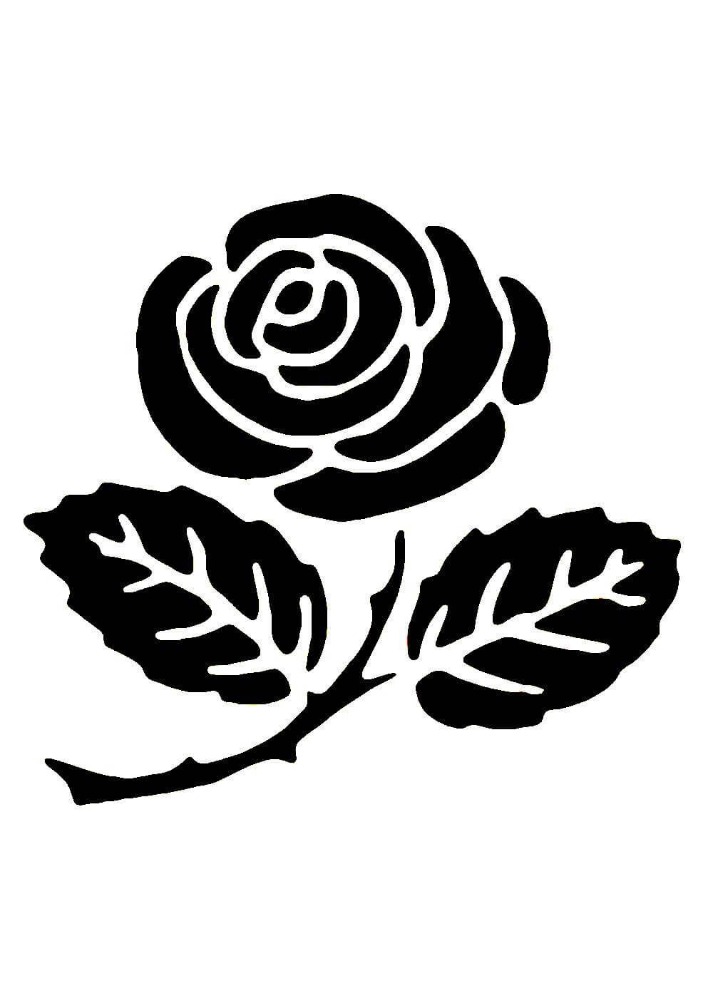 Раскраска цветы для аппликации