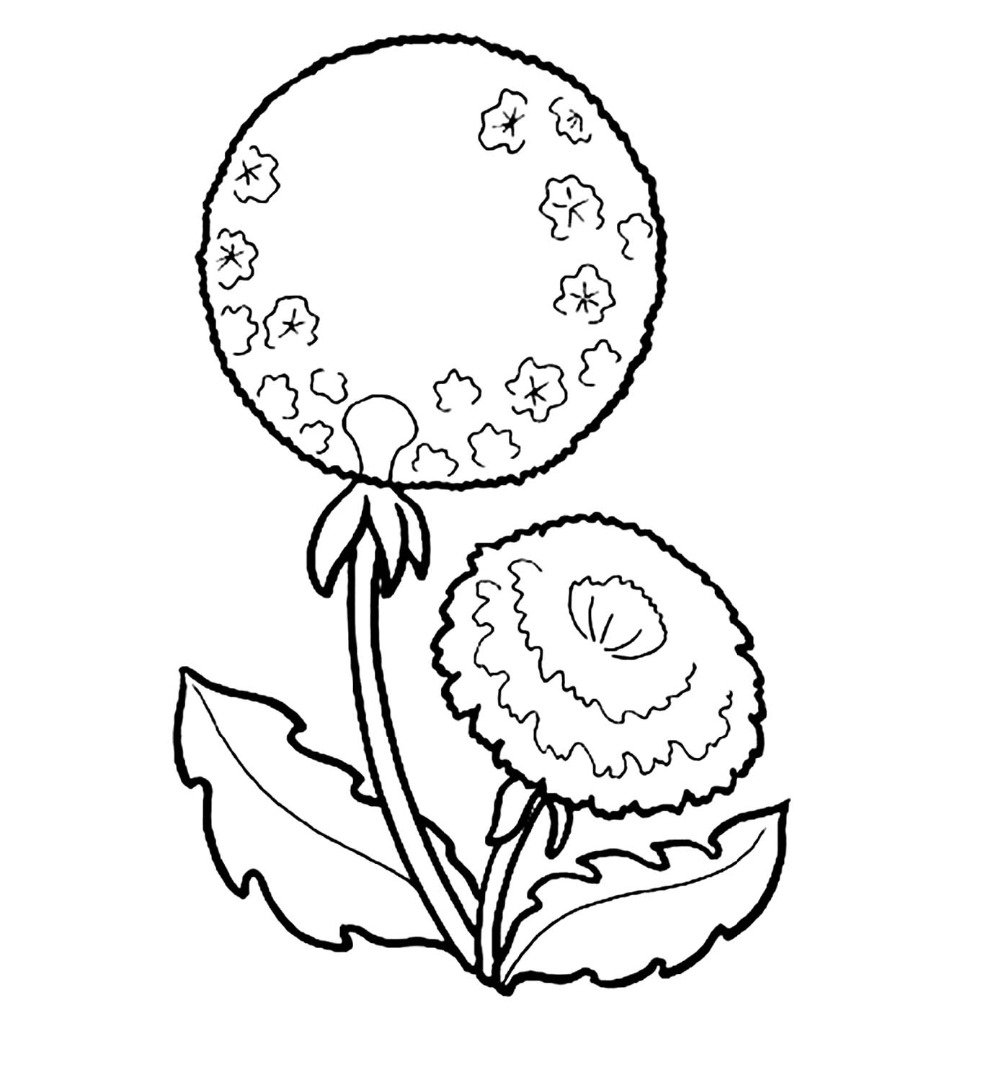 Сова трафарет