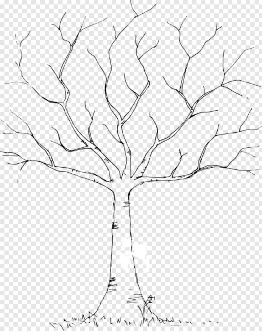 Березы вектор для резки