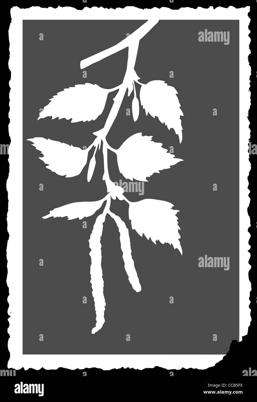 Ствол Березки для распечатки
