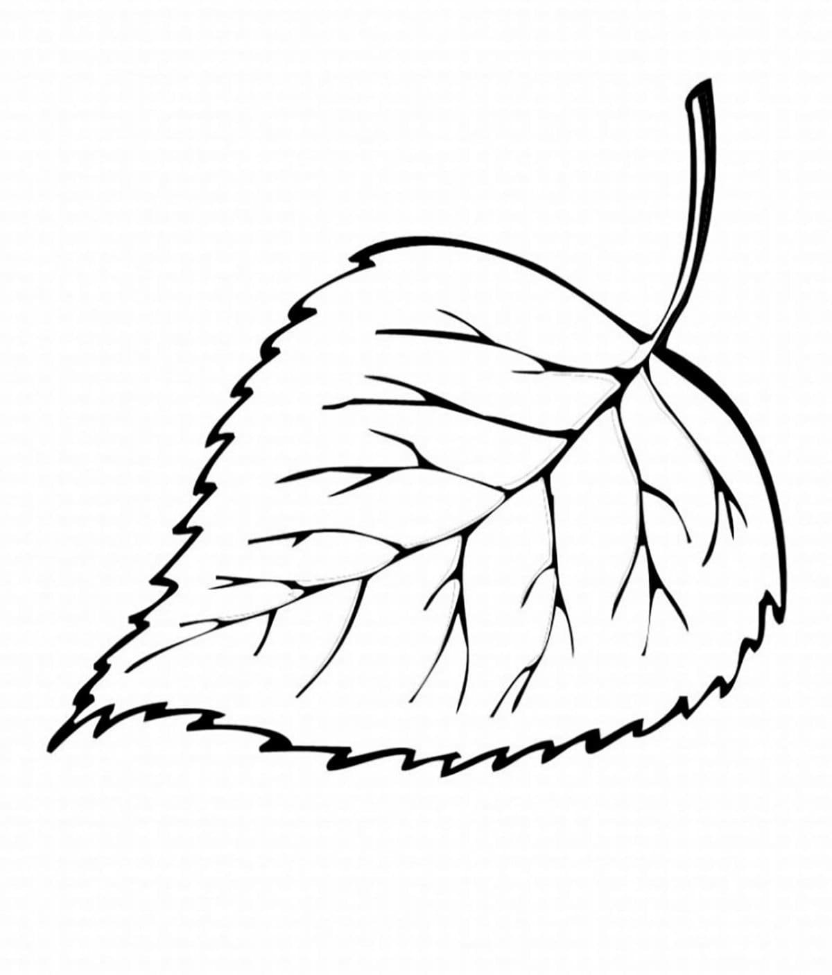 Силуэт дерева береза