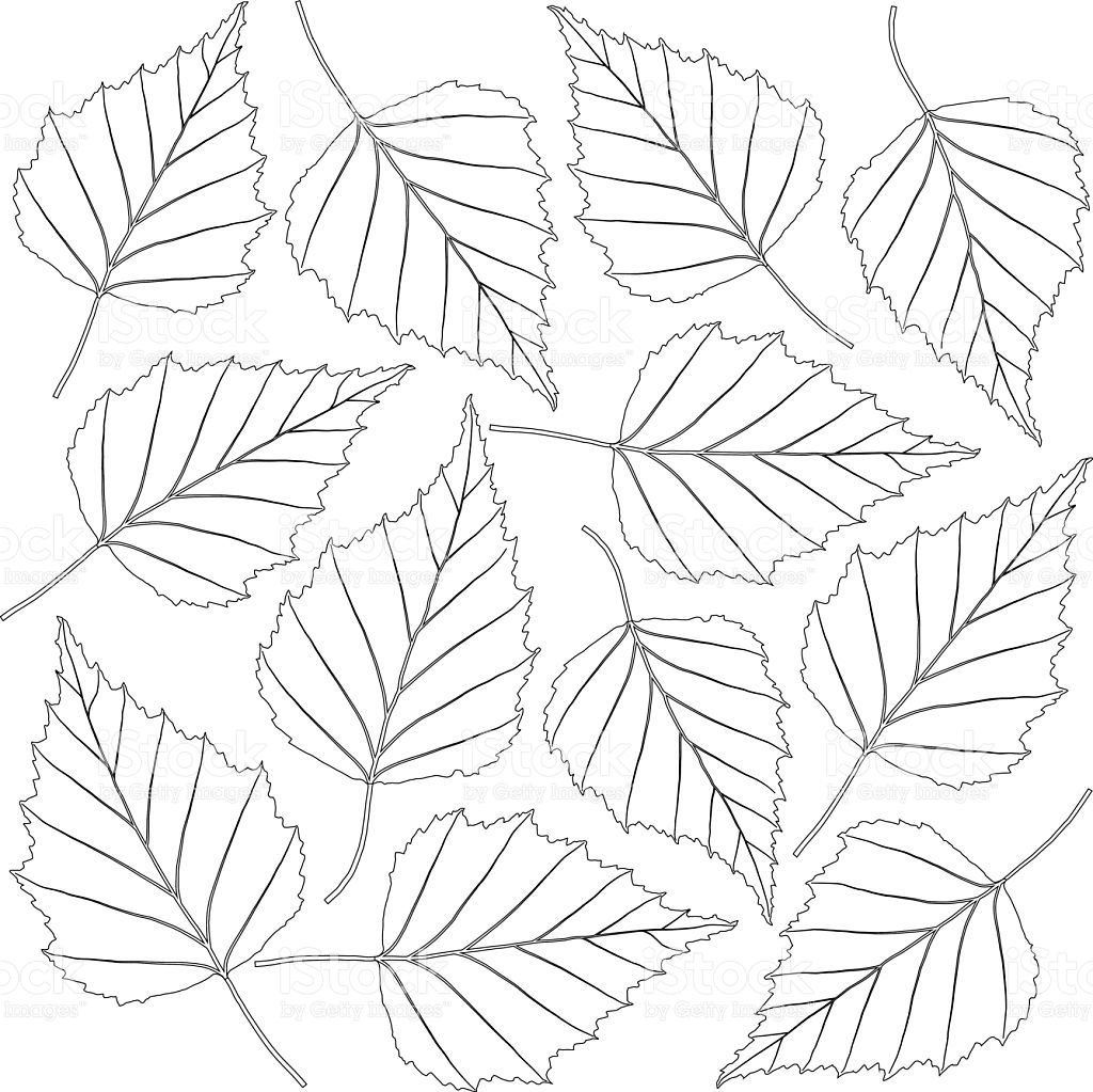 Трафарет веточка Березки