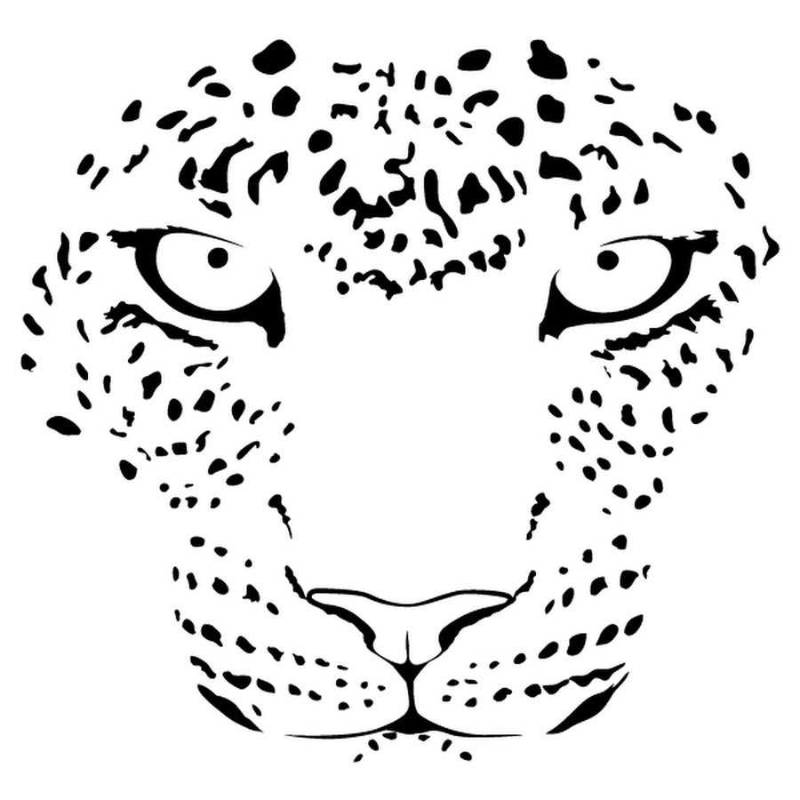 Раскраски хищника и чужого