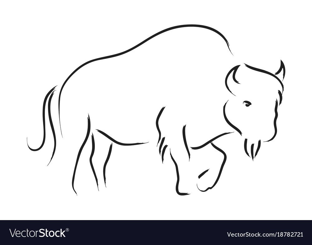 Очертание зубра