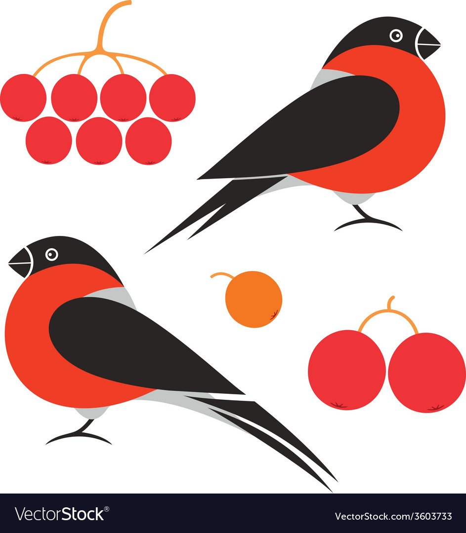 Снегирь для вырезания