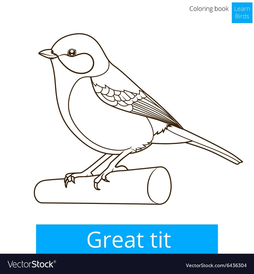 Синица раскраска для детей