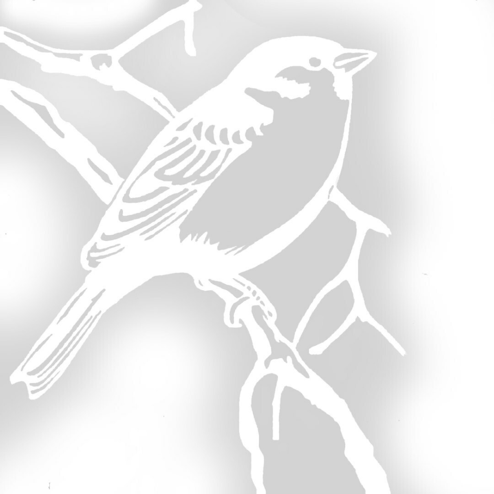 Вытынанка птицы