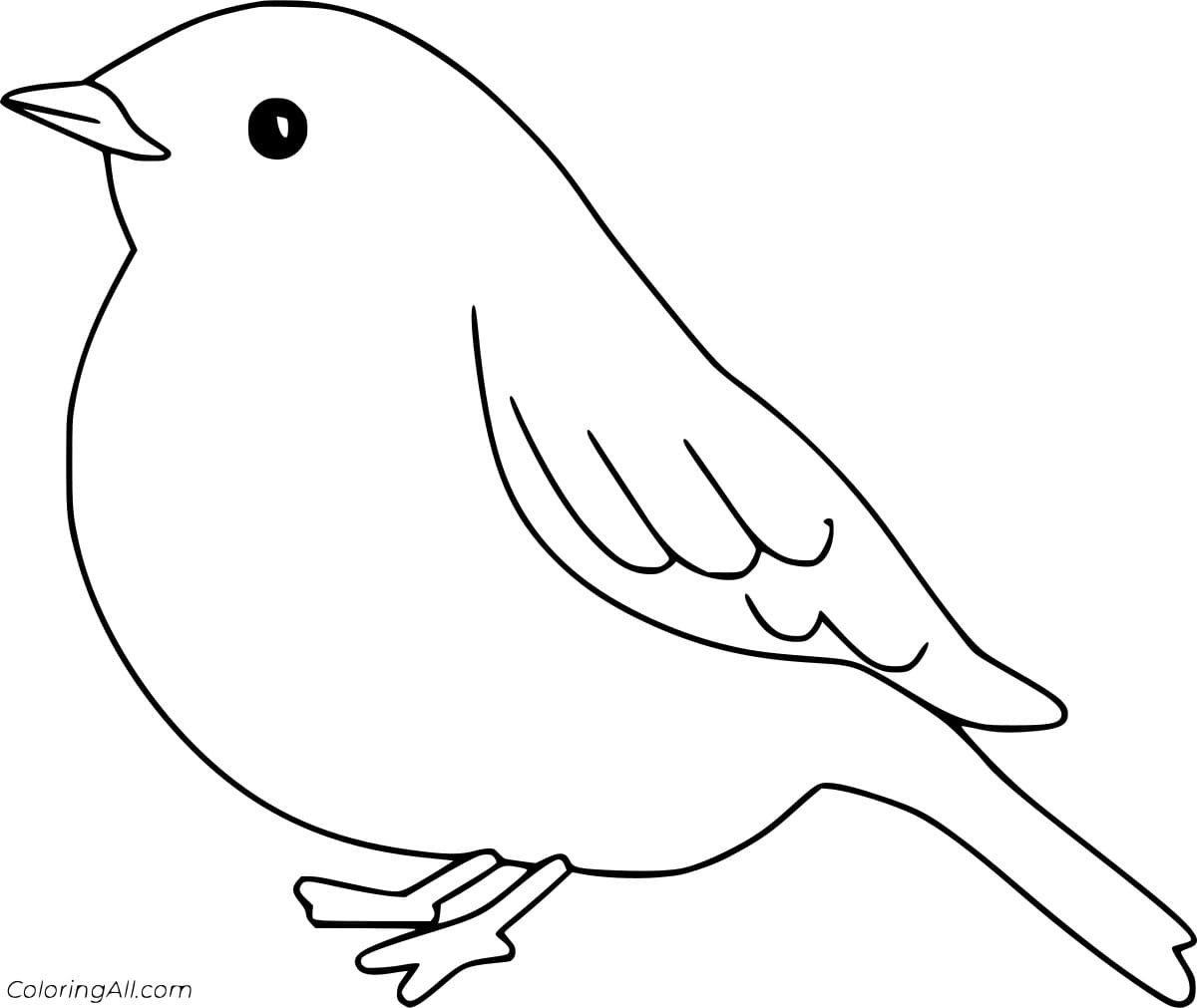 Птица контур
