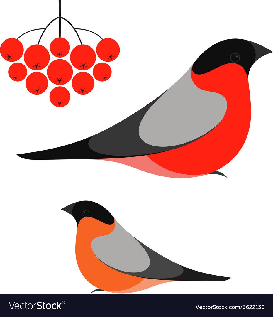 Снегирь контур