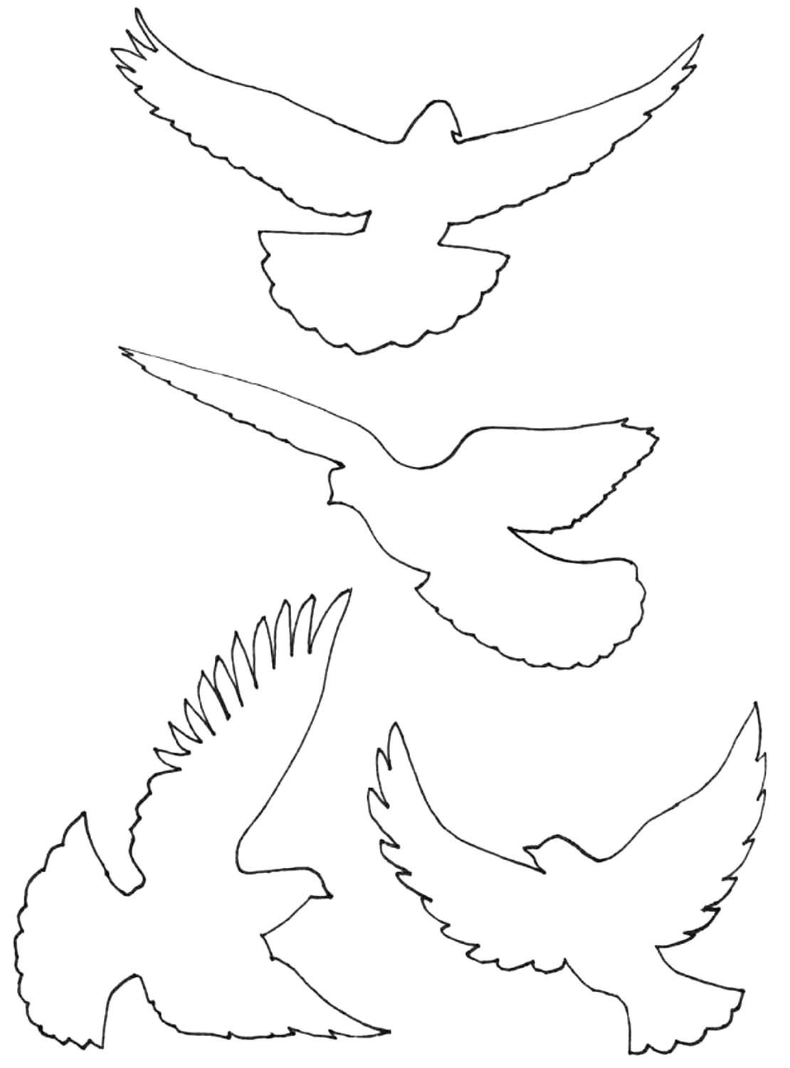 Трафарет голубя