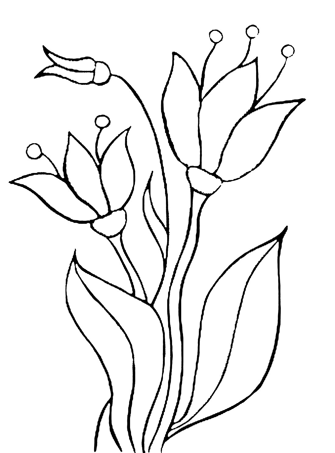 Цветы. Раскраска для малышей