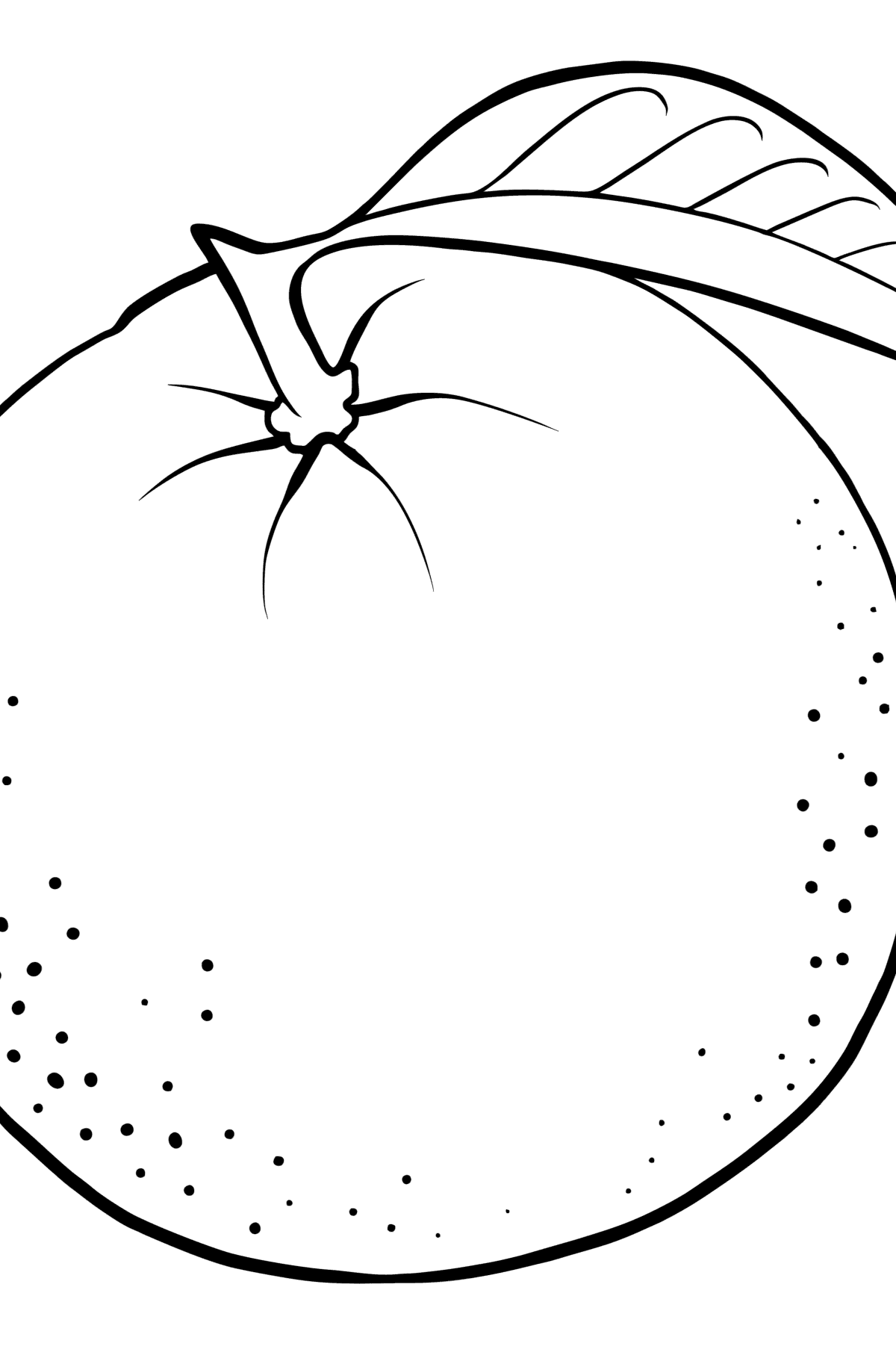 Апельсин раскраска