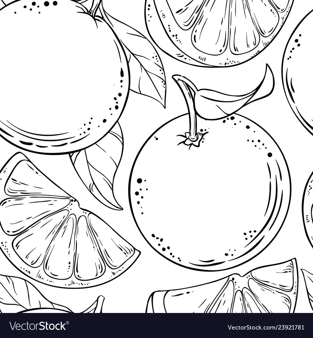 Грейпфрут вектор