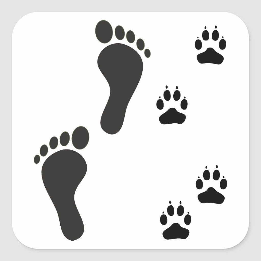 Следы животных силуэт