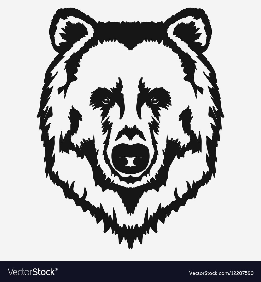 Очертание головы медведя