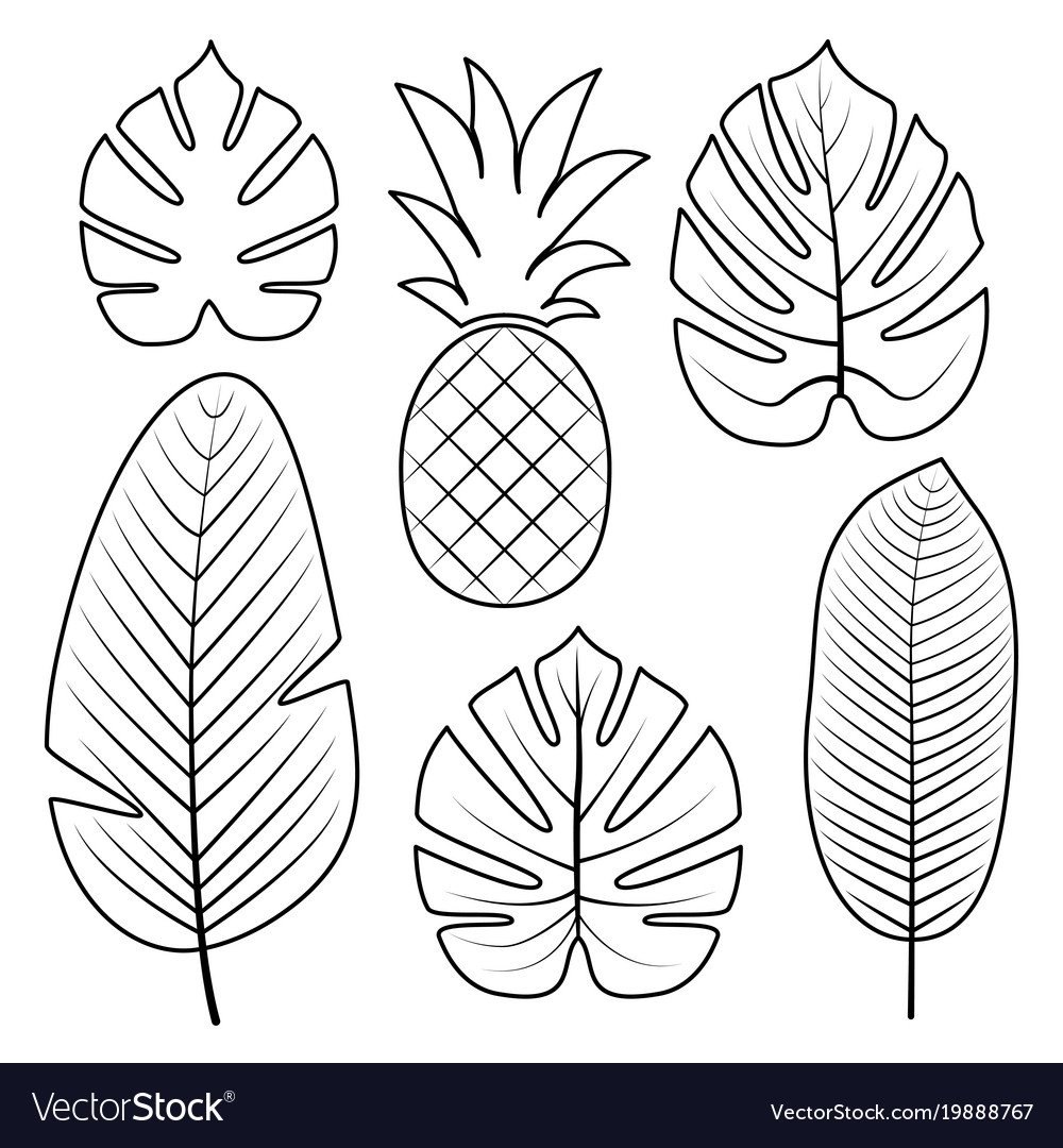 Листья тропические трафарет для вырезания