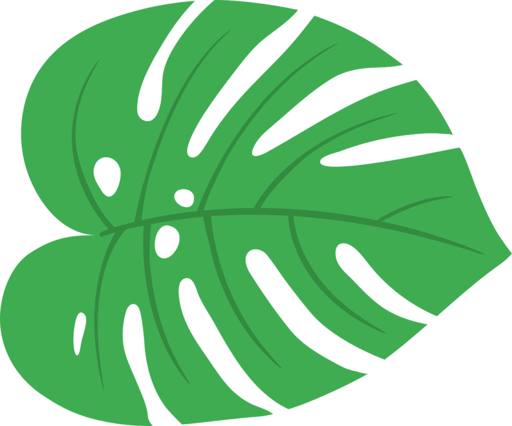 Листья Monstera вектор
