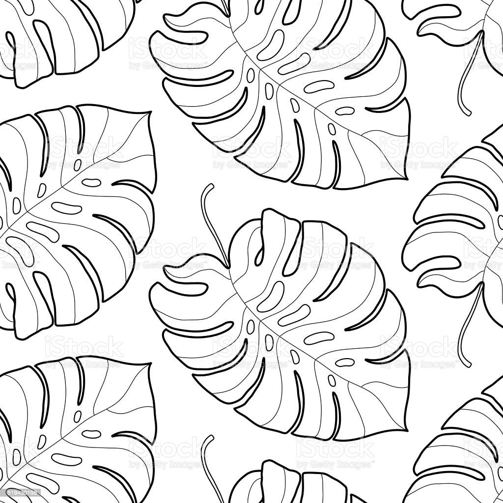 Тропические листья черно белые