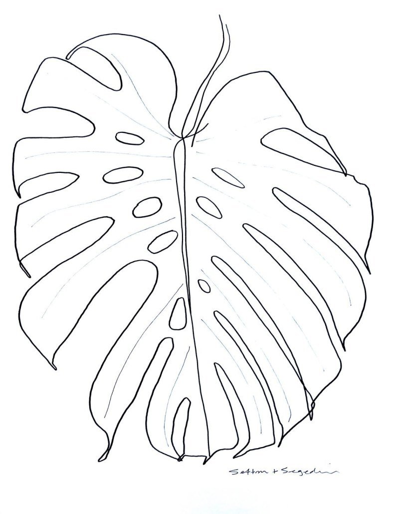 Монстера трафарет