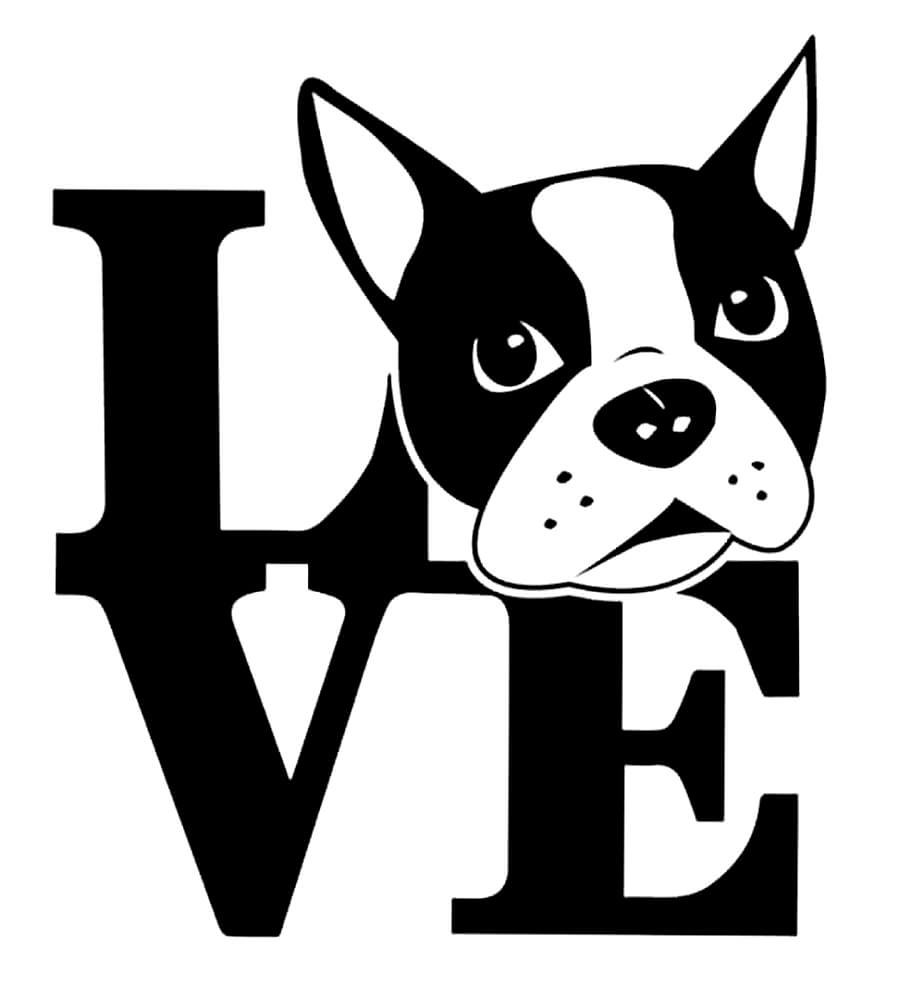 Бостон-терьер трафарет