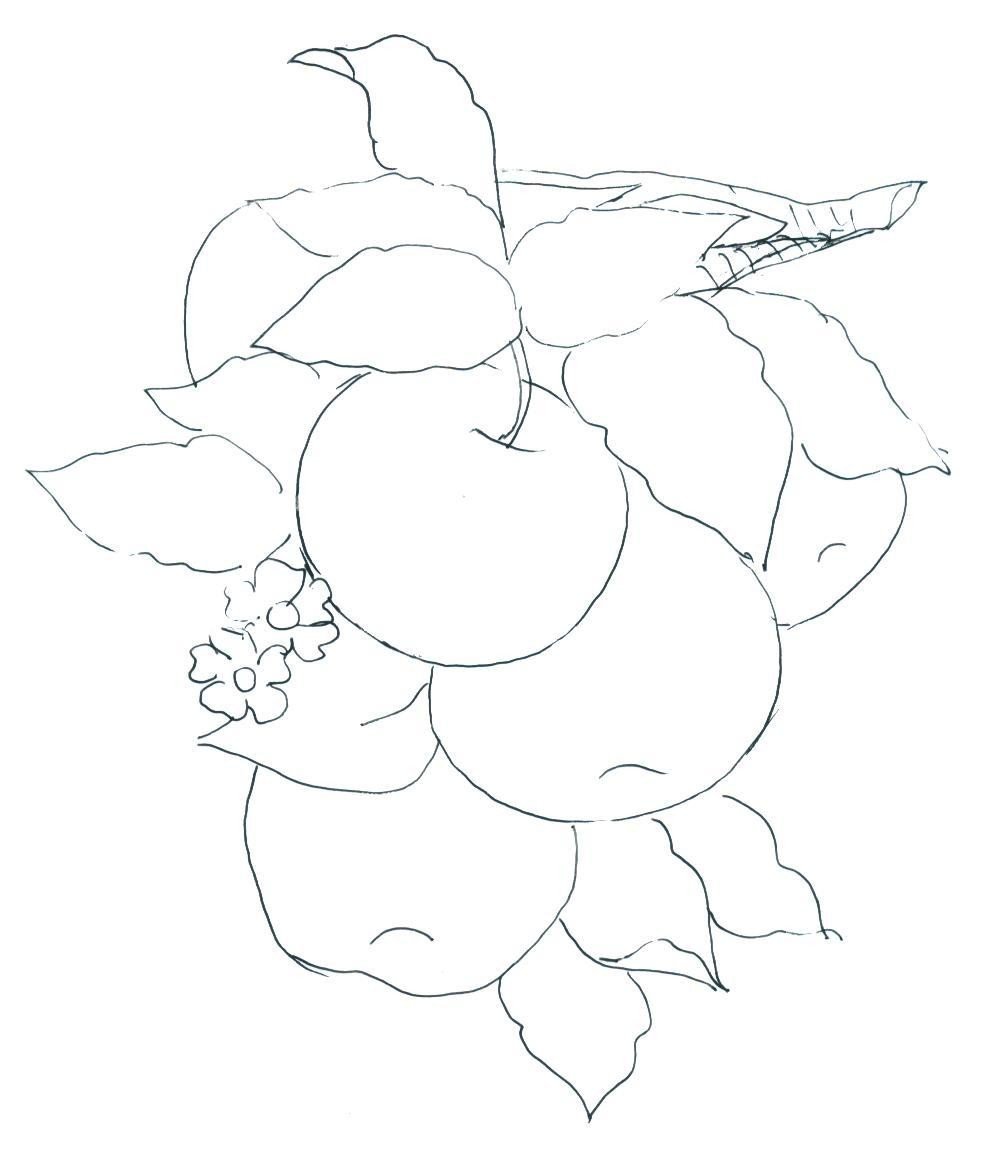 Шаблоны для батика для начинающих