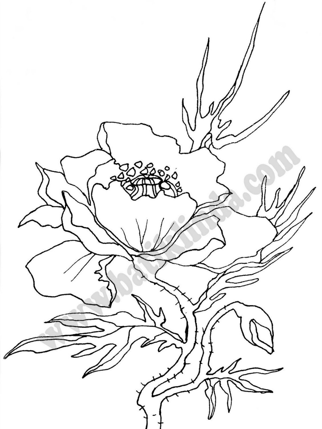 Эскиз для батика Мак