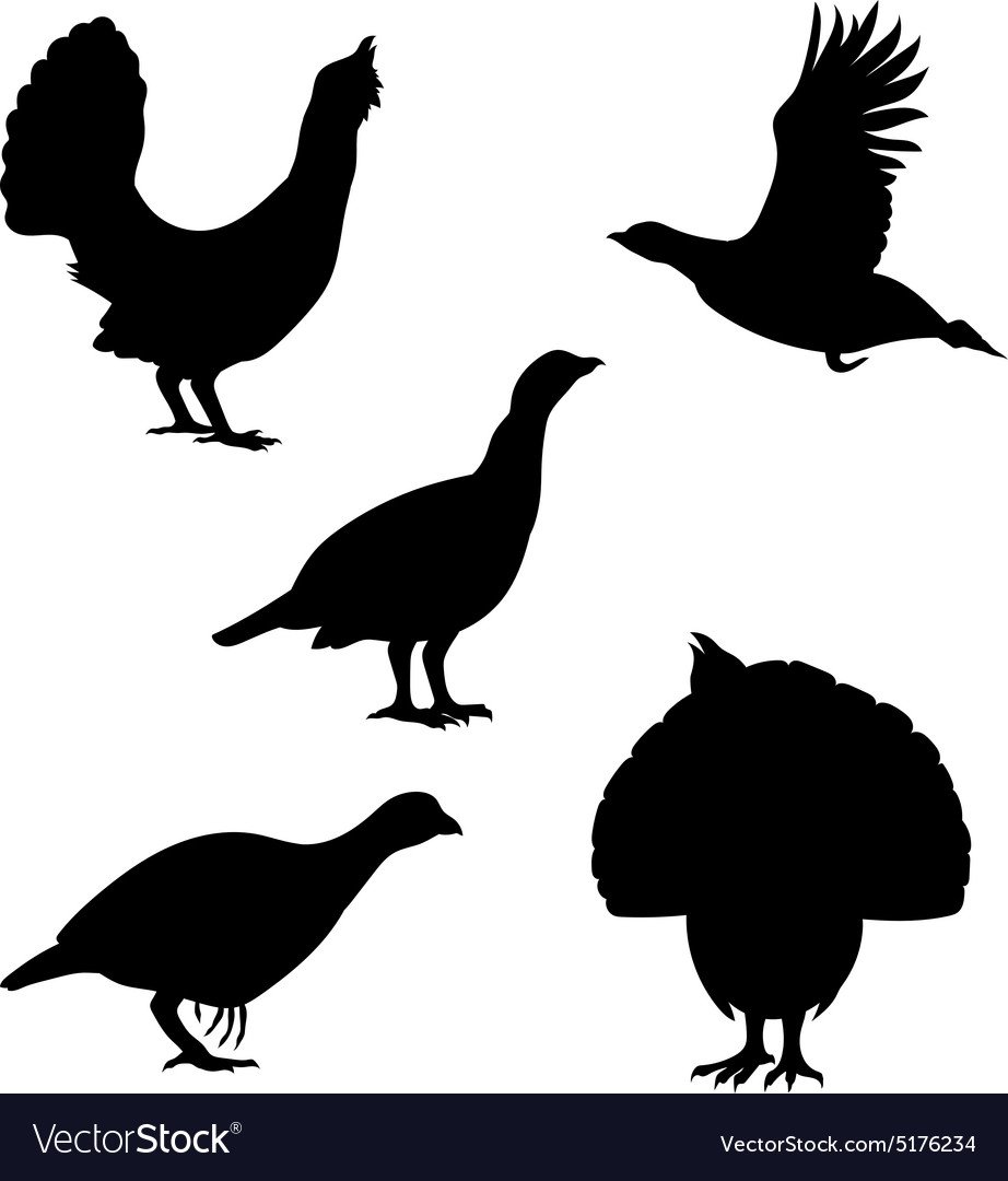 Трафарет тетерева