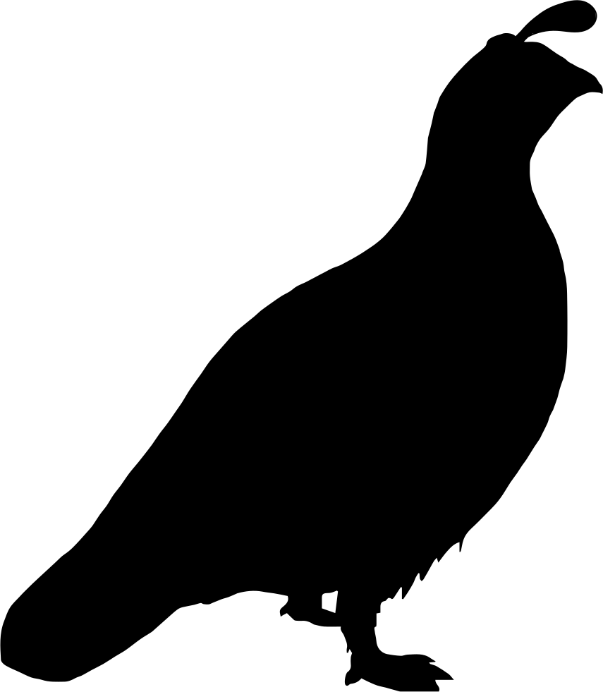 Тетерев силуэт