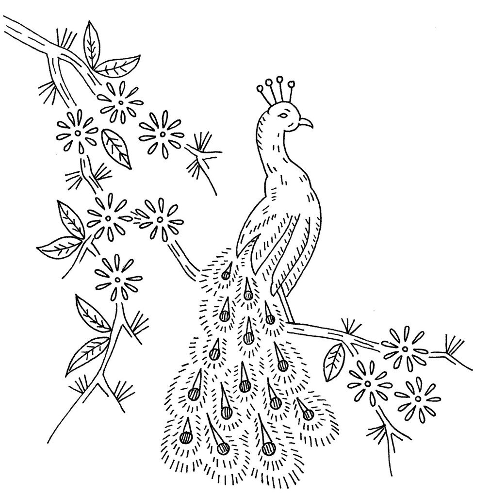 Трафареты павлина для детей