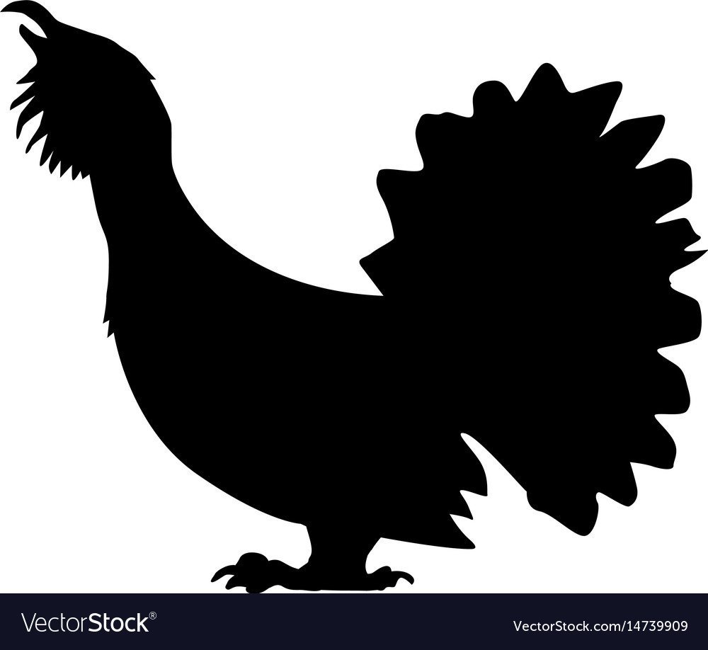 Силуэт глухаря