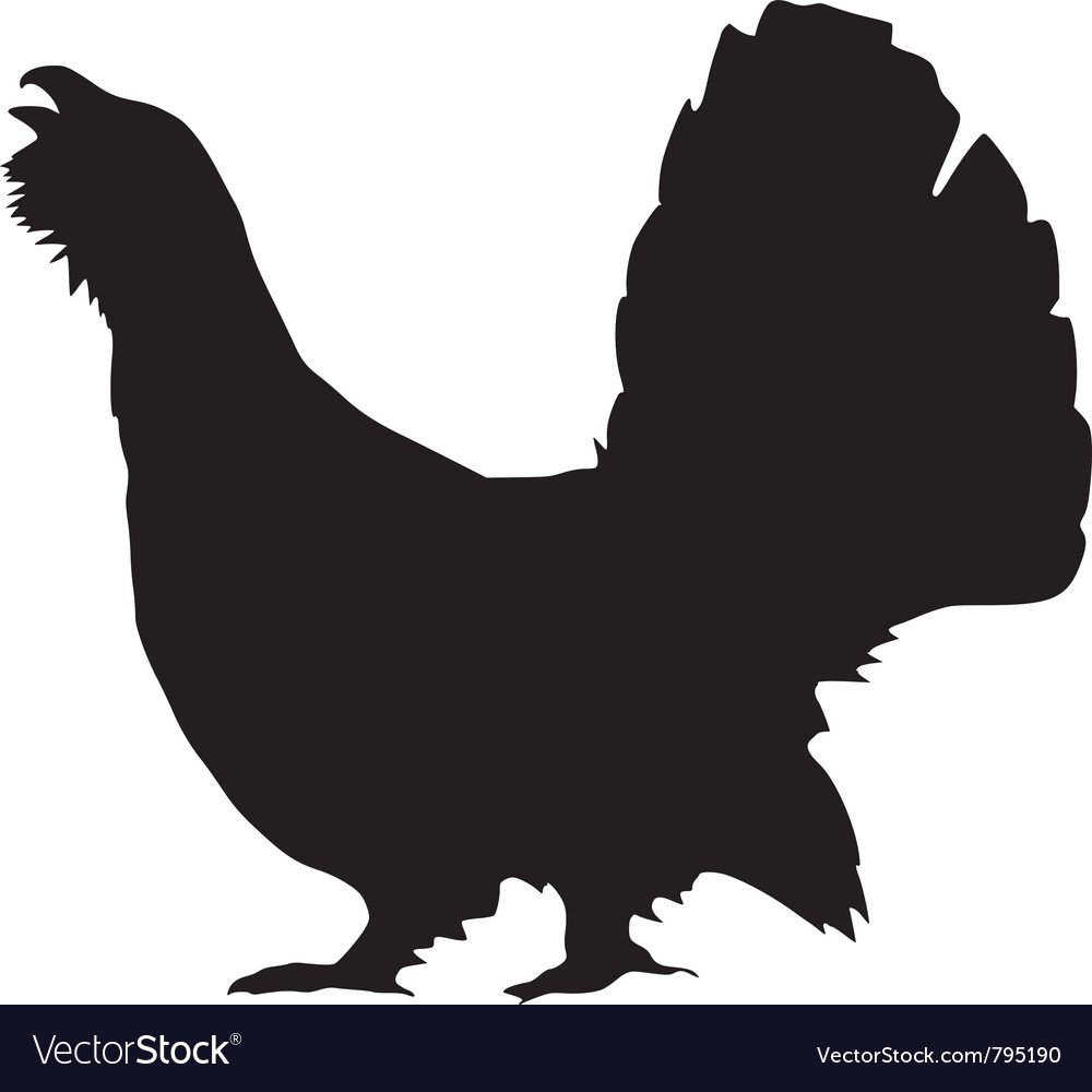 Тетерев контур