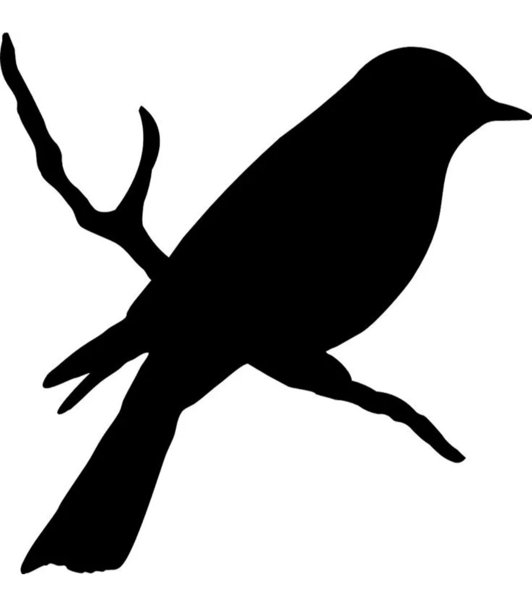 Силуэт птицы